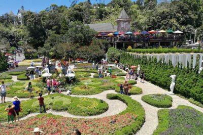 Ba Na Hills - Golden Hand Bridge Full Day Tour - Transfers, guide, and group rhythm (including one rough note)