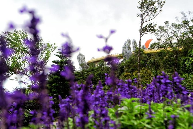 Ba Na Hills Private Tour - Flower Garden by Train: Easier Photos, Better Flow