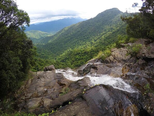 Bach Ma National Park trekking daily tour from Da Nang, Hoi An - Key things to know before you go