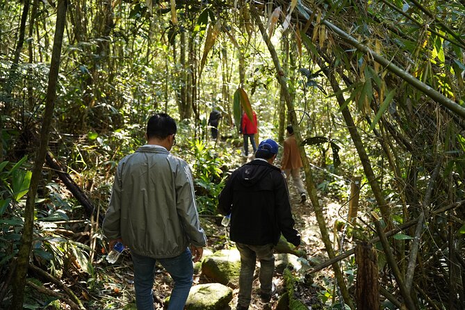 Bach Ma National Park trekking daily tour from Da Nang, Hoi An - What to bring (and what to skip) for a smoother trek