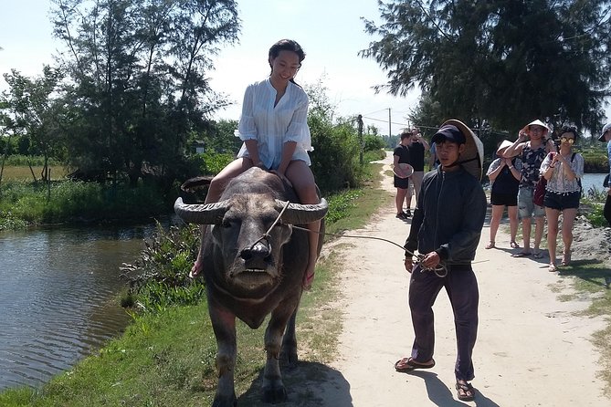 Buffalo Riding and basket boat tour from Da Nang/ Hoi An - Price and Value: Is $25 Actually a Good Deal?