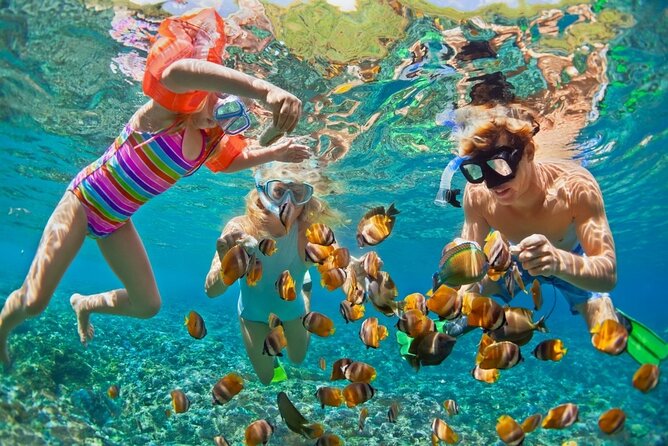 Cham Island Daily-Snorkeling(Optional:Pick up at Cua Dai Port) - Key takeaways before you go
