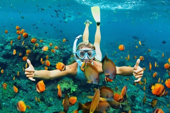 Cham Island Daily-Snorkeling(Optional:Pick up at Cua Dai Port) - Cham Island in Six Hours: Speedboat, Snorkel Time, and Real Beach Break