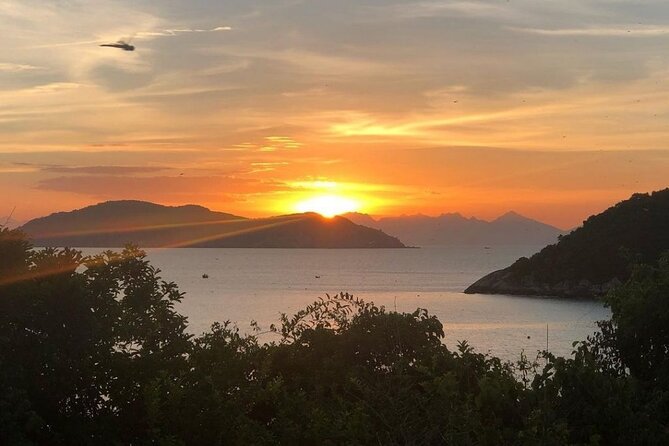 Cham Island Daily-Snorkeling(Optional:Pick up at Cua Dai Port) - Price and Logistics: Why $38 Feels Fair for What’s Included