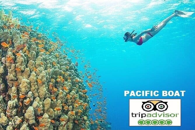 Cham island snorkeling tour - Key things I’d pin on a map before you book