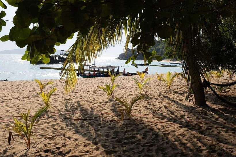 Cham Islands Snorkeling Tour by Speedboat : Hoi An/Da Nang - Why Cham Islands are worth the speedboat ride from Da Nang or Hoi An