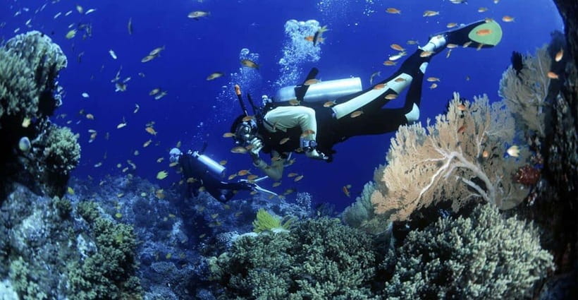 Cham Islands Snorkeling Tour by Speedboat : Hoi An/Da Nang - Lang Beach, the Marine Protected Area, and Hai Tang pagoda