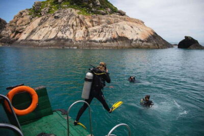 Cham Islands Snorkeling Tour by Speedboat : Hoi An/Da Nang - Morning logistics: pickup, harbor transfer, and the speedboat rhythm