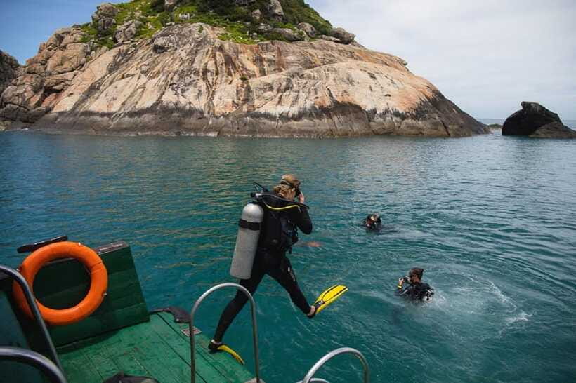 Cham Islands Snorkeling Tour by Speedboat : Hoi An/Da Nang - The seafood lunch break: where the day gets real (and filling)