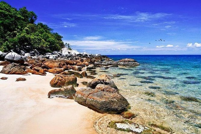 Cu Lao Cham Island Tour from Da Nang/ Hoi An - Your morning plan: pickup in Da Nang, join in Hoi An