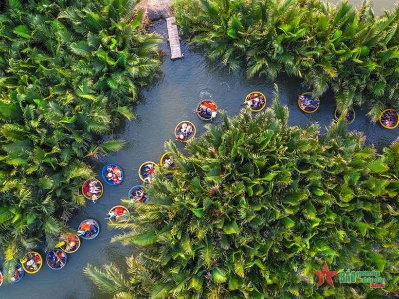 Da Nang: Marble Mountains, Hoi An, and Coconut Forest Tour - Why This Da Nang Day Trip Works: Three Stops, One Flow