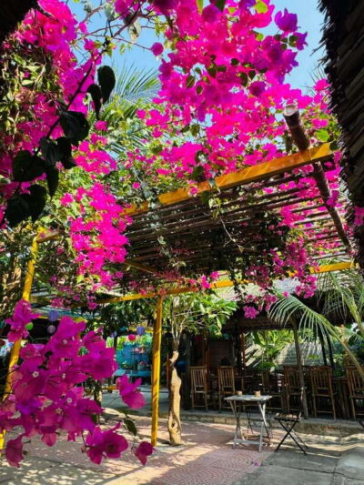 Da Nang: Marble Mountains, Hoi An, and Coconut Forest Tour - Getting Picked Up in Da Nang and Staying on Schedule