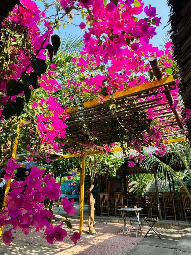 Da Nang: Marble Mountains, Hoi An, and Coconut Forest Tour - Getting Picked Up in Da Nang and Staying on Schedule