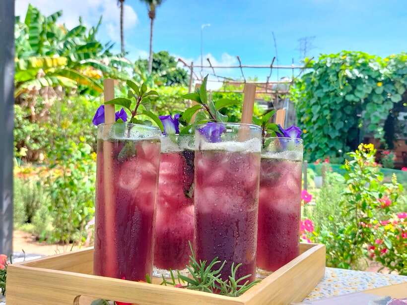 Da Nang Vegetarian Cooking and coffee Class - Key Things That Make This Class Worth Your Time