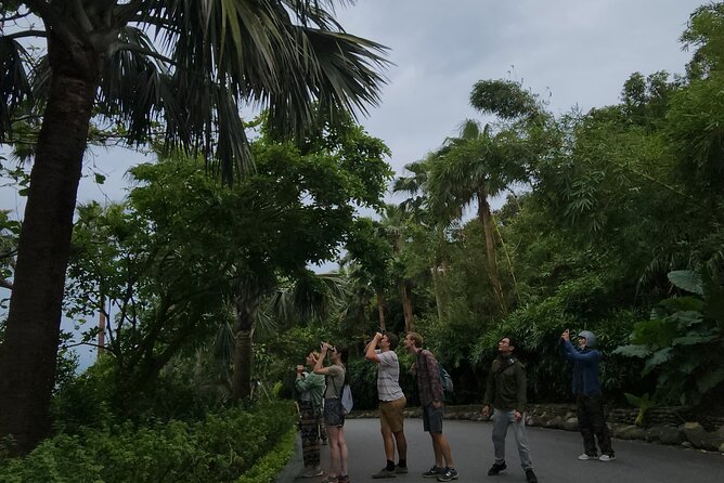 Endangered Monkeys Watching - Red Shanked Douc Langurs - Getting There From Esco Beach: Pickup, Scooter Comfort, and Timing
