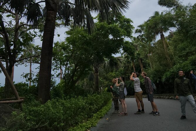 Endangered Monkeys Watching - Red Shanked Douc Langurs - What’s Included for $57.38 (and Why It’s Often Good Value)