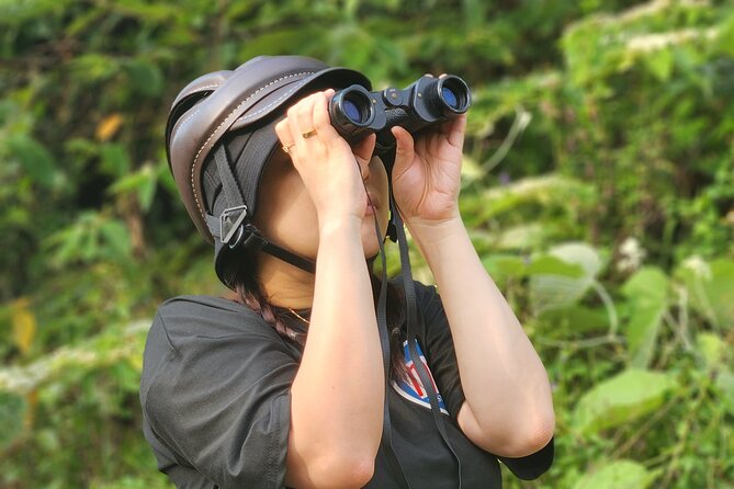 Endangered Monkeys Watching - Red Shanked Douc Langurs - How the Monkey Spotting Search Actually Works on Son Trà