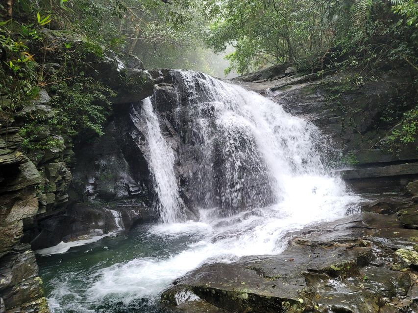 From Da Nang or Hoi An: Bach Ma National Park Trek & Lunch - Quick hits before you go