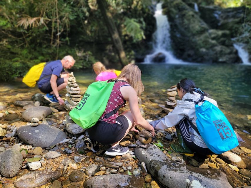 From Da Nang or Hoi An: Bach Ma National Park Trek & Lunch - Picnic lunch with mountain air, then head for Do Quyen