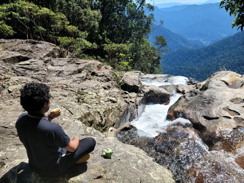 From Da Nang or Hoi An: Bach Ma National Park Trek & Lunch - Vong Hai Dai and Hai Vong Dai (Bach Ma Peak) at 1,448m