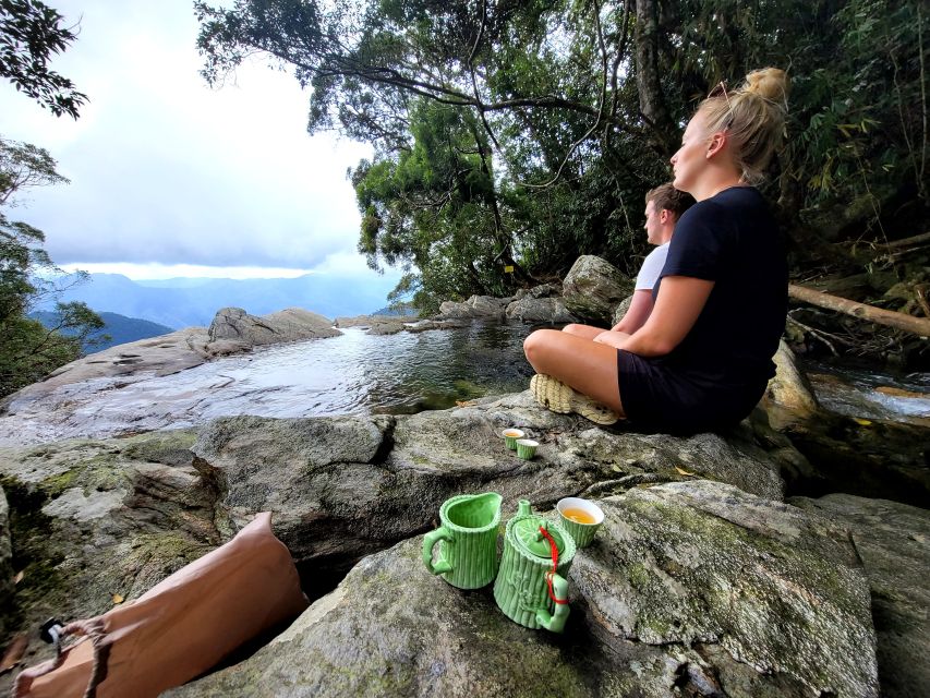 From Da Nang or Hoi An: Bach Ma National Park Trek & Lunch - How hard is the trek really? (And who should think twice)