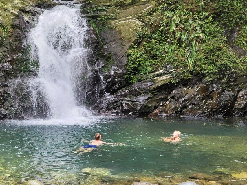 From Da Nang or Hoi An: Bach Ma National Park Trek & Lunch - Food and comfort: what you get beyond the big sights