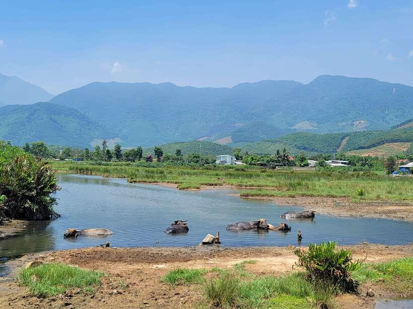 From Hoi An: Hai Van Pass Loop Tour By Easyrider - Mo Waterfall: the swim-and-chill moment