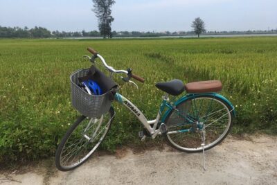 Hoi An countryside biking tour, water buffalo+ basket boat ride - Water buffalo riding: the included fee moment that changes the photos