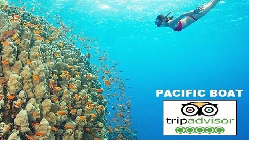 Hoi An/Da Nang: Snorkelling & Island-Hopping Speedboat Tour - Dai Island and the first snorkeling hour