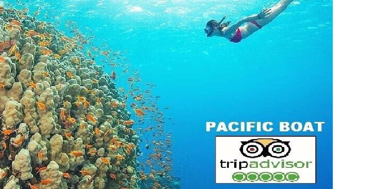 Hoi An/Da Nang: Snorkelling & Island-Hopping Speedboat Tour - The morning rhythm: pickup, harbor, and getting to Cua Dai