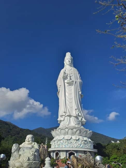 Private Jeep Tour to Marble - Monkey Mountains -Son Tra peak - Wildlife on Son Tra: what you might see (and how to handle it)