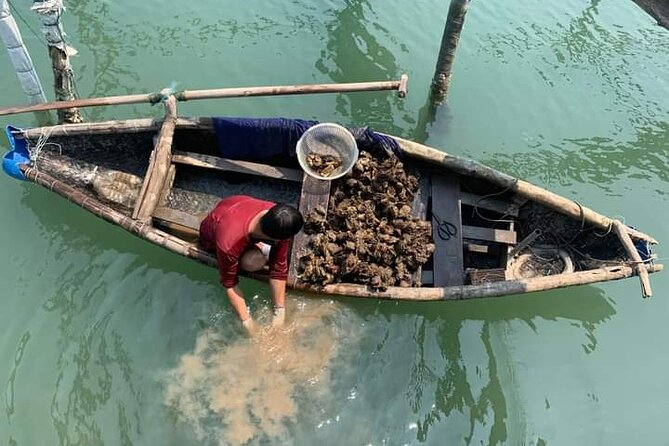Vietnam/Lang Co Oyster Tour by Fishing & Tasting Oyster Flavors - Key highlights you should care about
