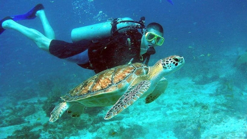 Visit Cham Islands & Snorkelling & Scuba Diving - Hai Tang Pagoda: a calm sacred break before the water