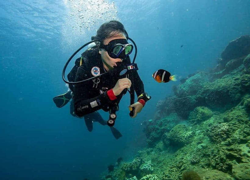 Visit Cham Islands & Snorkelling & Scuba Diving - Seafood lunch and the end-of-day beach unwind
