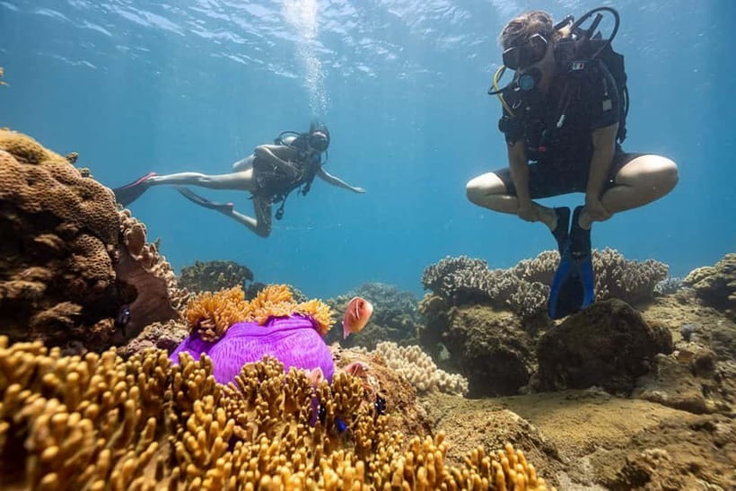 Visit Cham Islands & Snorkelling & Scuba Diving - Price and value: why the $32 makes sense, and where it can grow
